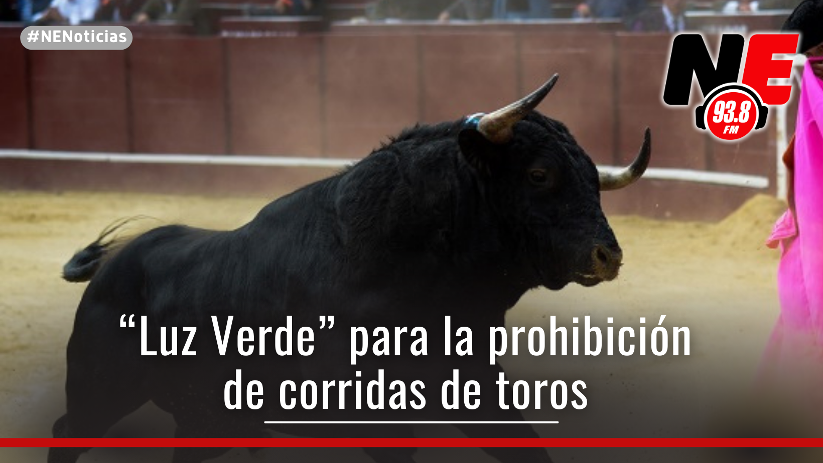 Senado aprobó la prohibición de corridas de toros en Colombia